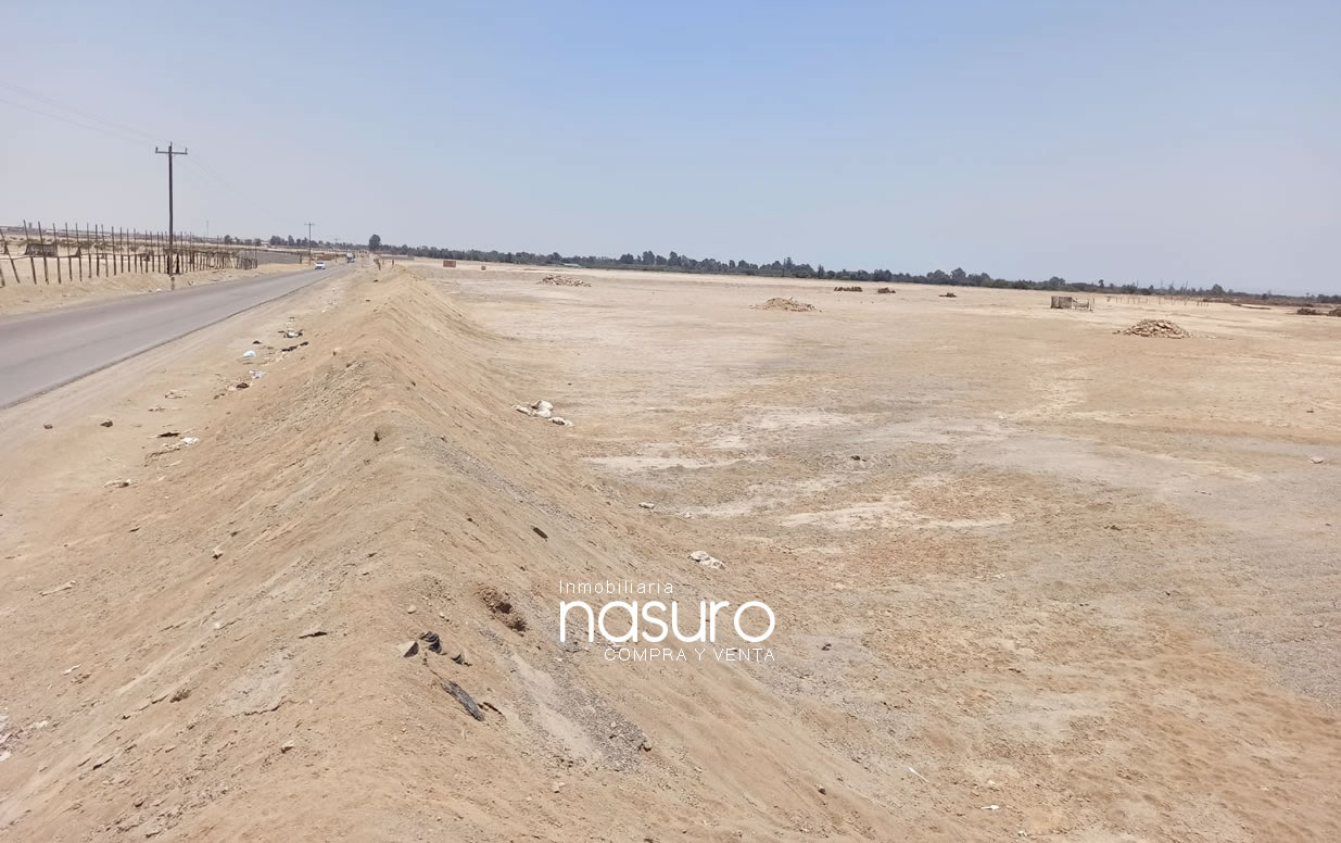 Se vende terreno de 10.5 hectáreas en Ñoco, Chincha