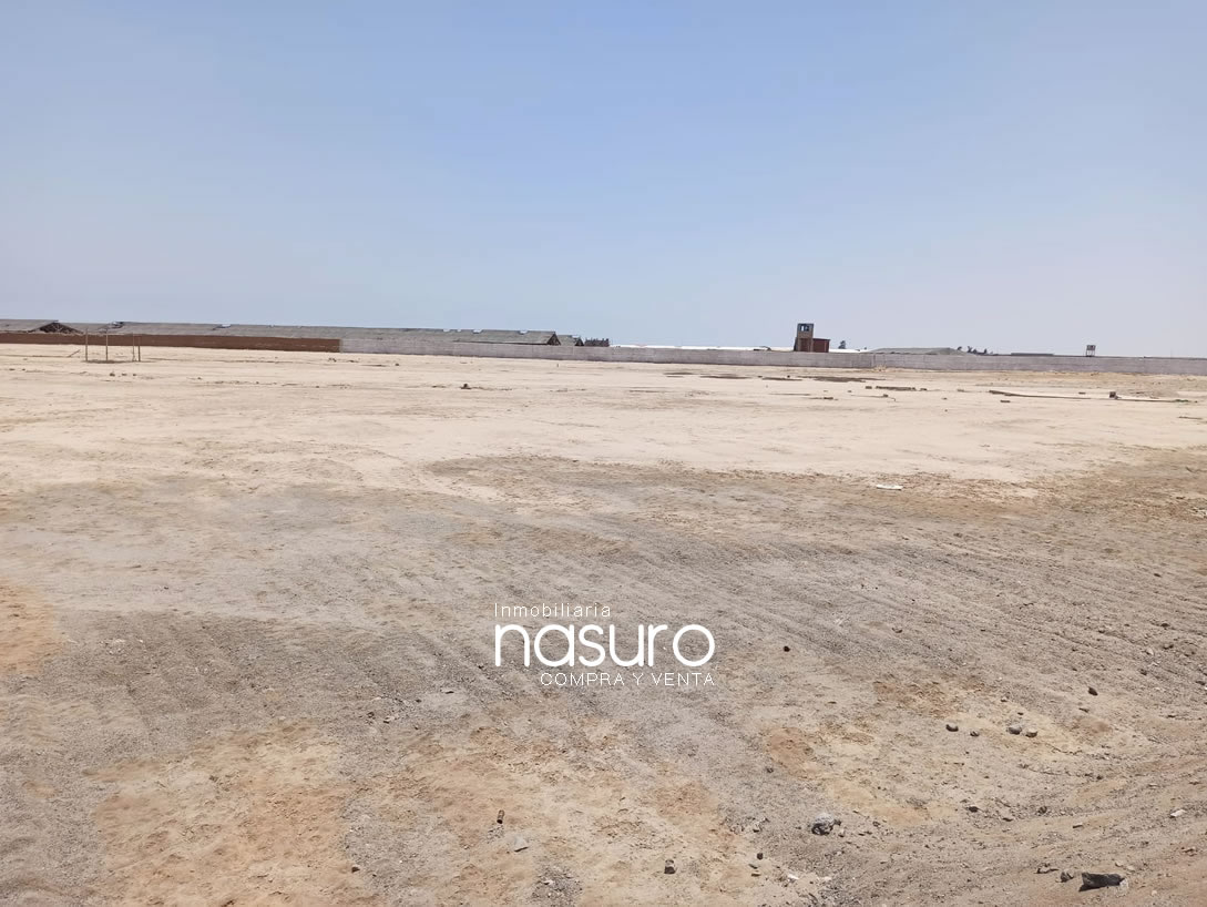 Se vende terreno de 10.5 hectáreas en Ñoco, Chincha