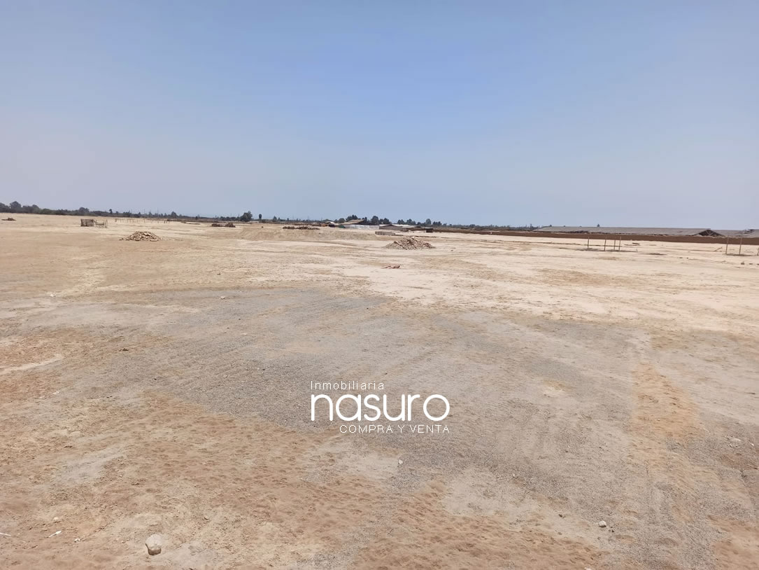 Se vende terreno de 10.5 hectáreas en Ñoco, Chincha