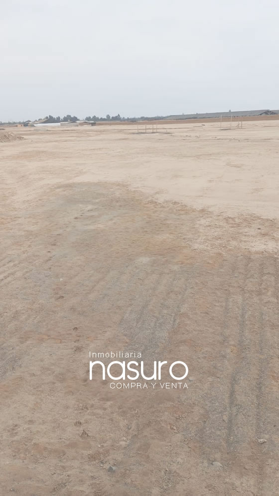 Se vende terreno de 10.5 hectáreas en Ñoco, Chincha