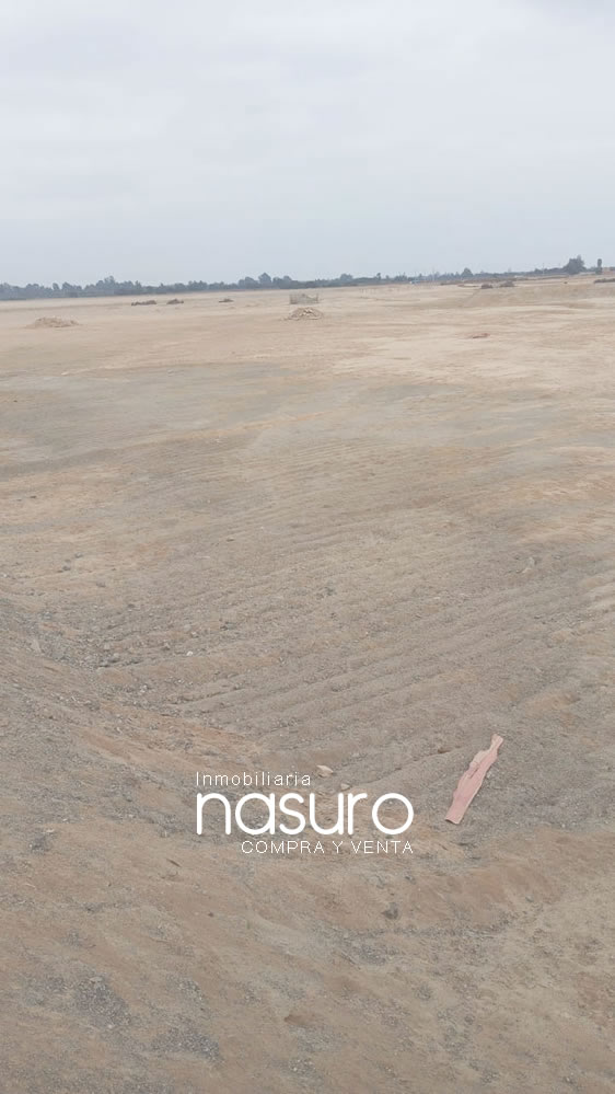 Se vende terreno de 10.5 hectáreas en Ñoco, Chincha