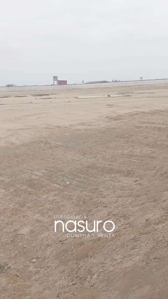Se vende terreno de 10.5 hectáreas en Ñoco, Chincha