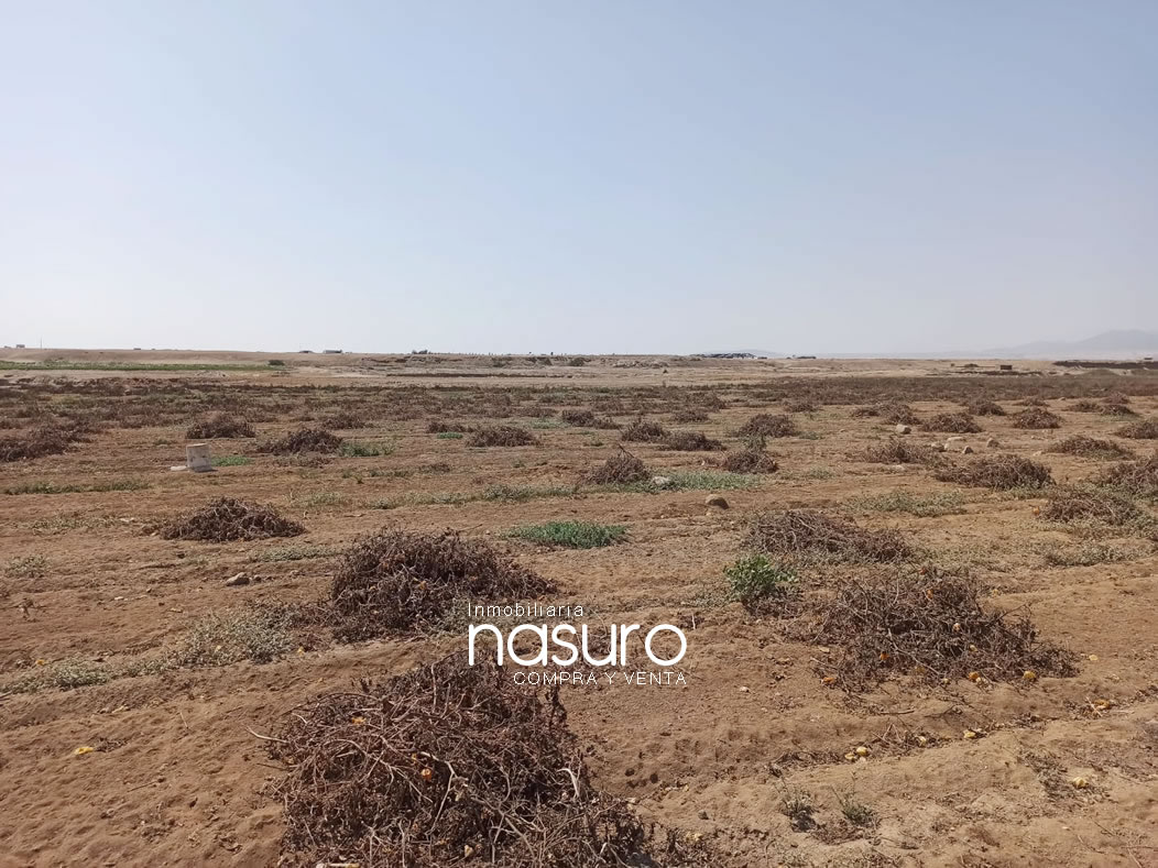 Se vende terreno agrícola de 6 hectáreas en Topará