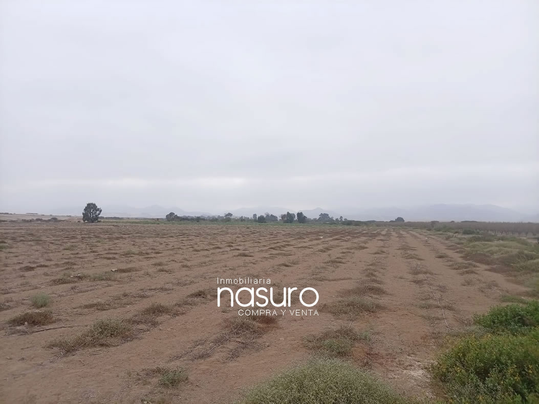 Se vende terreno agrícola de 6 hectáreas en Topará