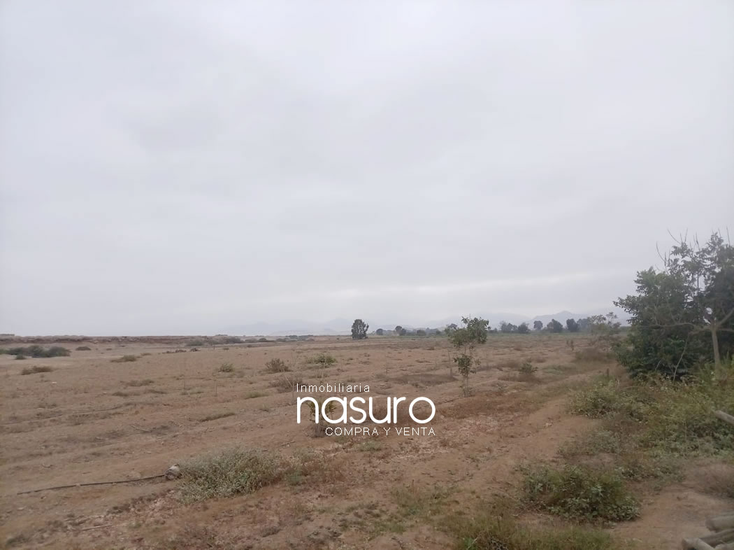 Se vende terreno agrícola de 6 hectáreas en Topará
