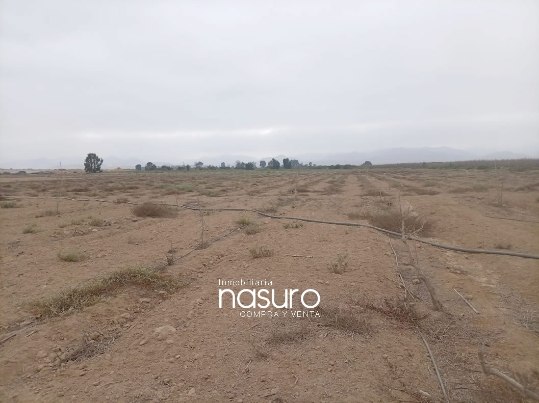Se vende terreno agrícola de 6 hectáreas en Topará