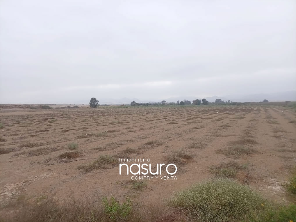 Se vende terreno agrícola de 6 hectáreas en Topará