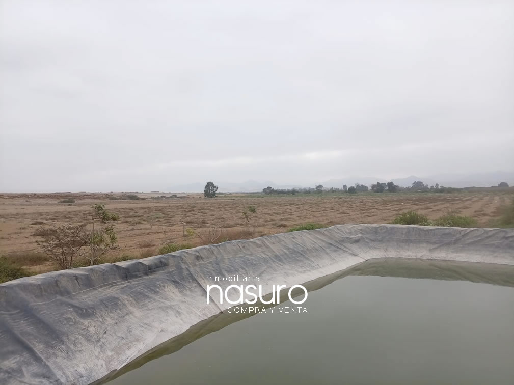 Se vende terreno agrícola de 6 hectáreas en Topará