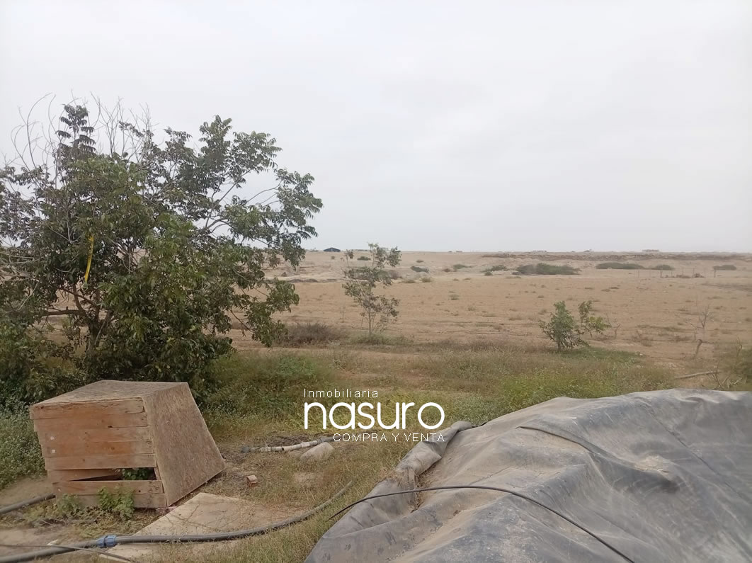 Se vende terreno agrícola de 6 hectáreas en Topará