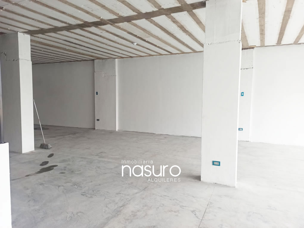 Local en alquiler, Parque Industrial de muebles VES
