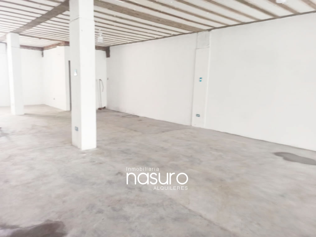 Local en alquiler, Parque Industrial de muebles VES