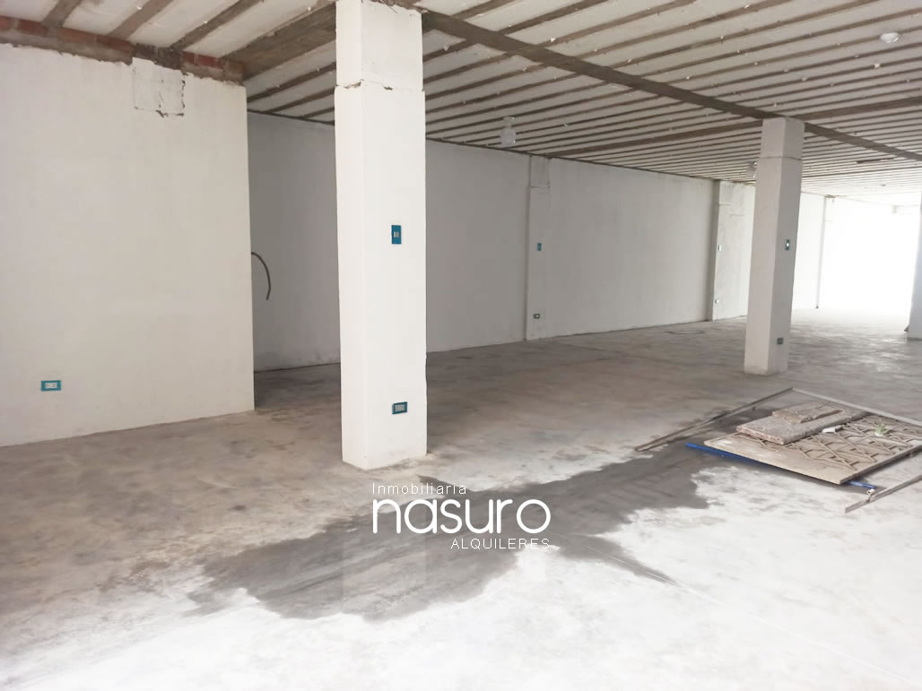 Local en alquiler, Parque Industrial de muebles VES
