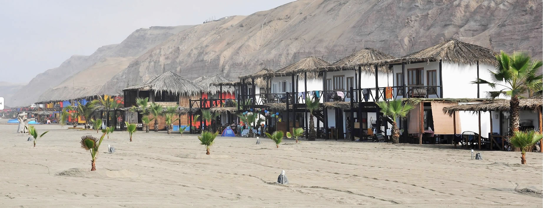 Se vende terreno de 17.86 hectáreas en playa de San Vicente de Cañete