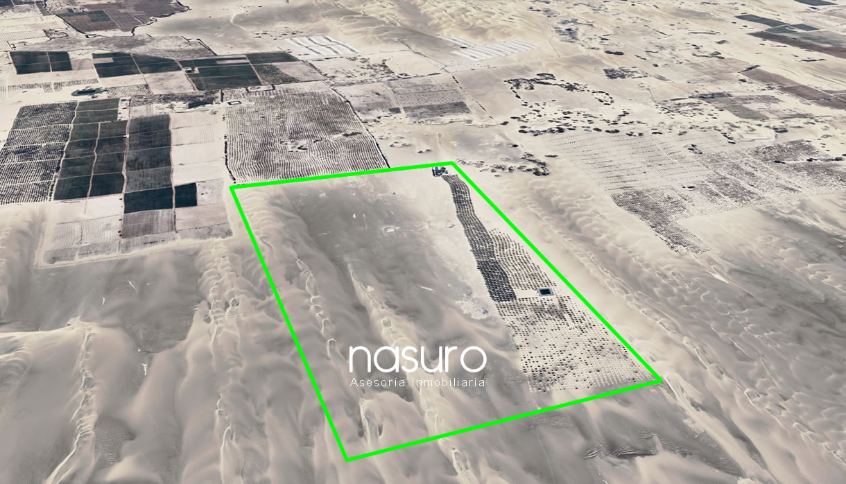 Se vende terreno agrícola en Ica