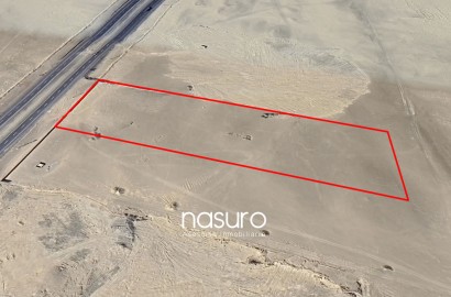 Se vende terreno de 8.12 hectáreas en Pisco