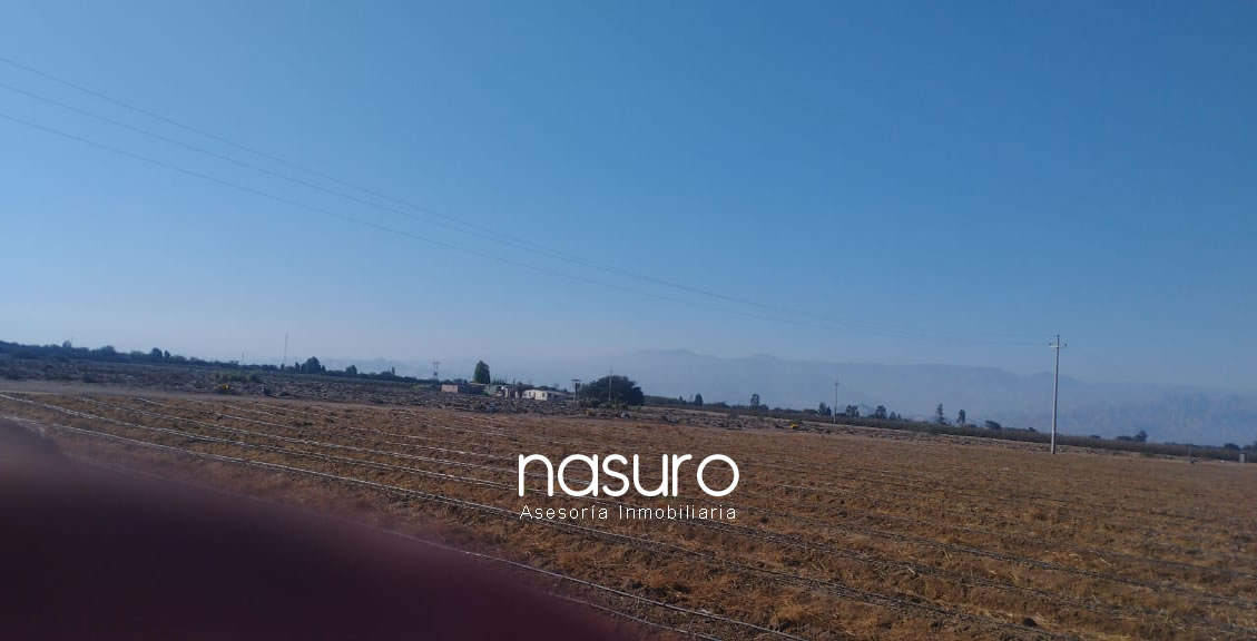 Se vende terreno de 60 ha en Santiago, Ica