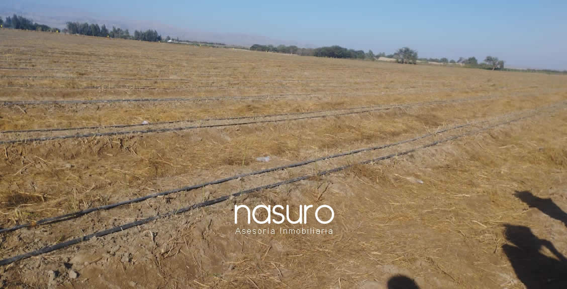 Se vende terreno de 60 ha en Santiago, Ica