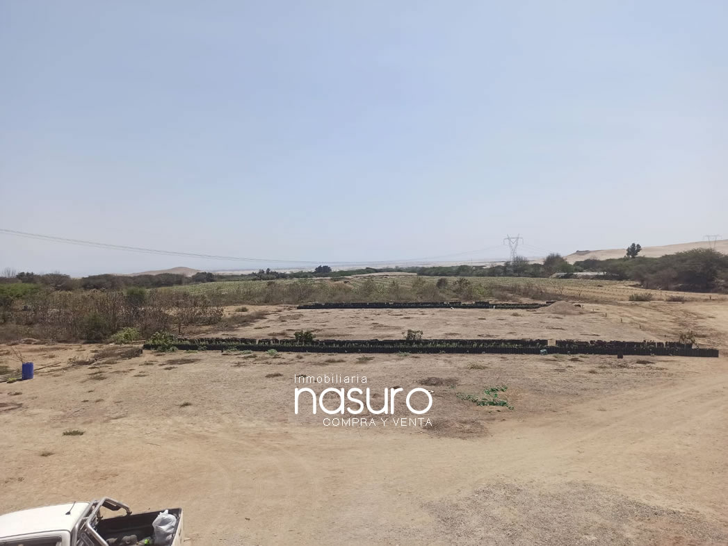 Se veden terreno de 8.4 hectáreas de ocasión en Topará, Chincha.
