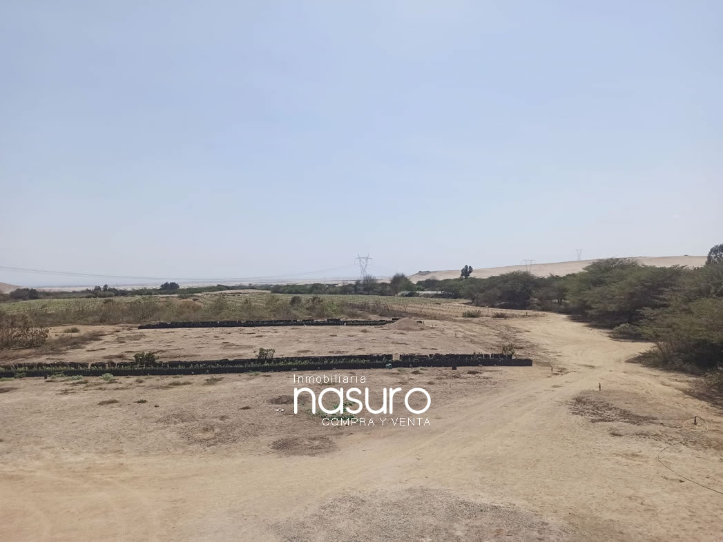 Se veden terreno de 8.4 hectáreas de ocasión en Topará, Chincha.