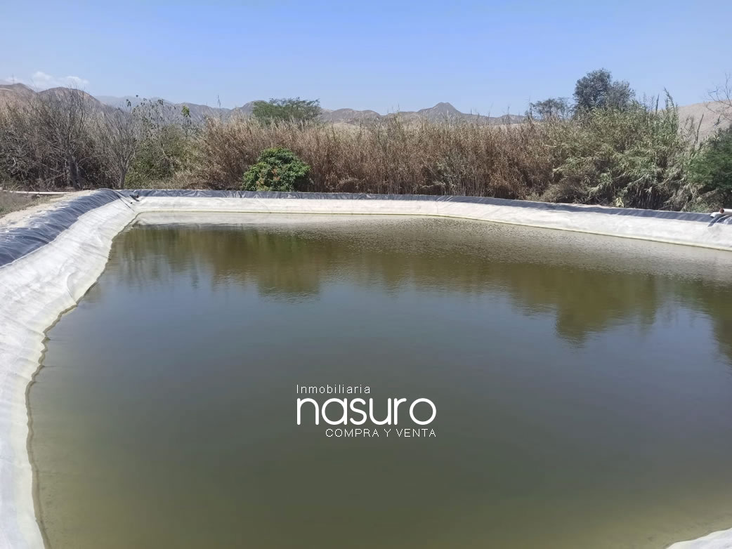 Se veden terreno de 8.4 hectáreas de ocasión en Topará, Chincha.