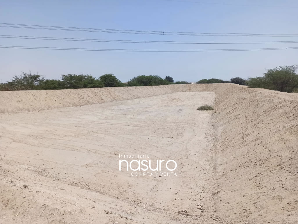 Se veden terreno de 8.4 hectáreas de ocasión en Topará, Chincha.