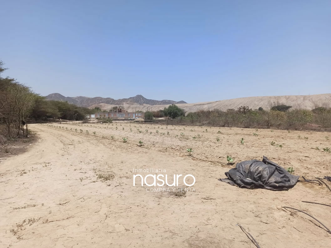 Se veden terreno de 8.4 hectáreas de ocasión en Topará, Chincha.