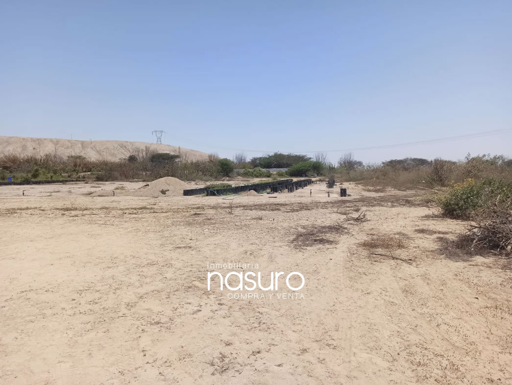 Se veden terreno de 8.4 hectáreas de ocasión en Topará, Chincha.