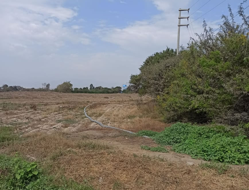 En venta terreno agrícola de 25 hectáreas en distrito El Carmen