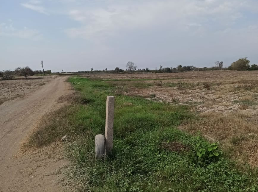 En venta terreno agrícola de 25 hectáreas en distrito El Carmen