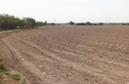 En venta terreno agrícola de 4.3 hectáreas en El Carmen