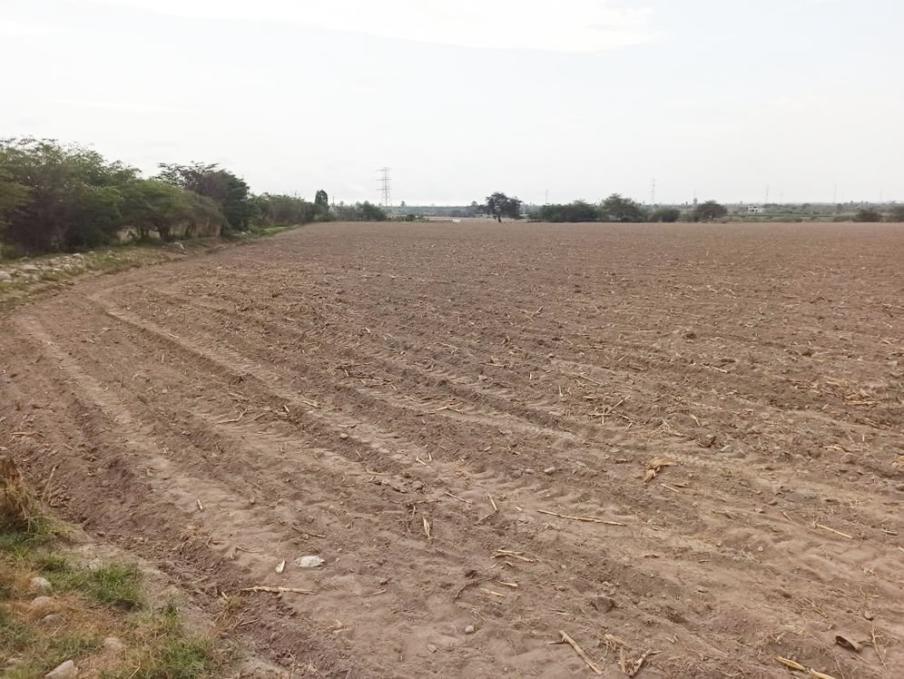 En venta terreno agrícola de 4.3 hectáreas en El Carmen