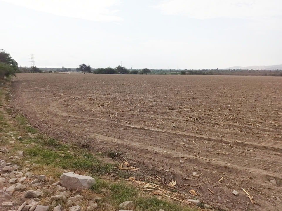 En venta terreno agrícola de 4.3 hectáreas en El Carmen