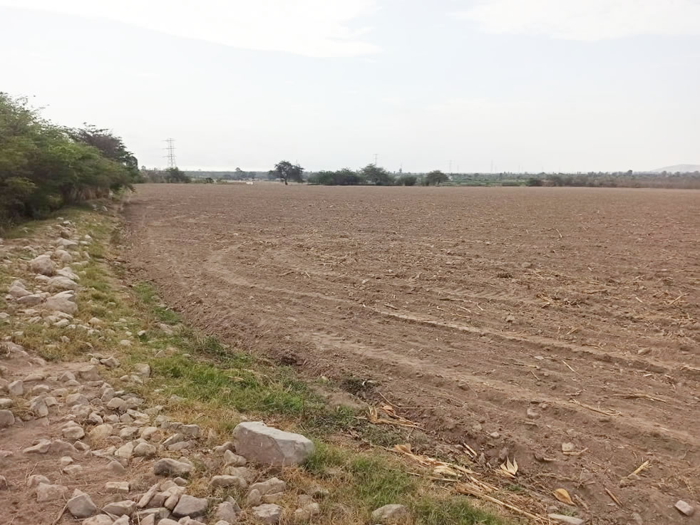 En venta terreno agrícola de 4.3 hectáreas en El Carmen