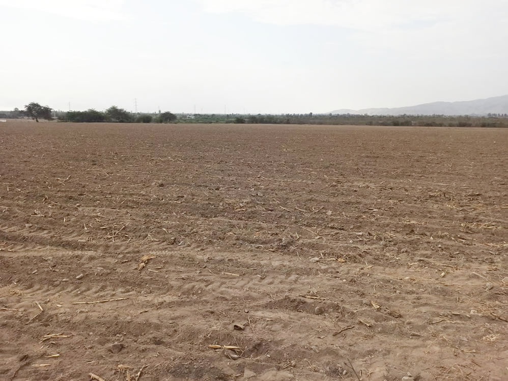 En venta terreno agrícola de 4.3 hectáreas en El Carmen