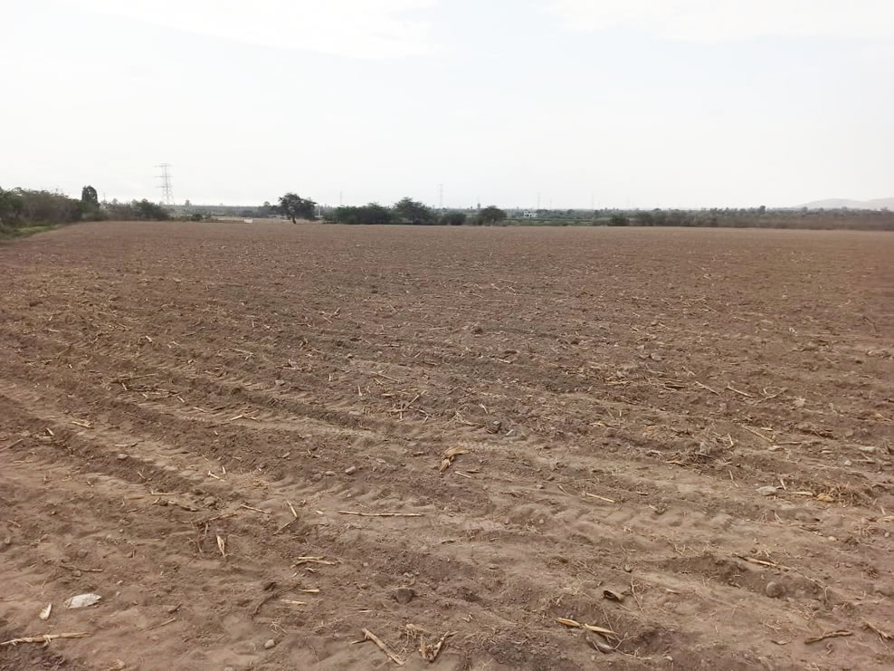 En venta terreno agrícola de 4.3 hectáreas en El Carmen