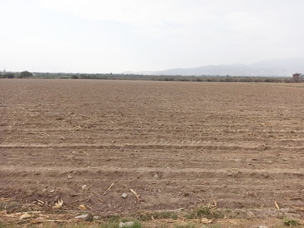 En venta terreno agrícola de 4.3 hectáreas en El Carmen