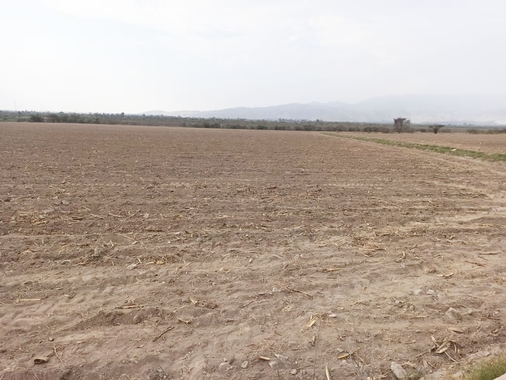 En venta terreno agrícola de 4.3 hectáreas en El Carmen