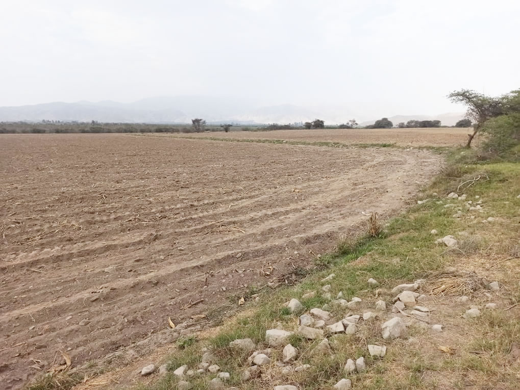 En venta terreno agrícola de 4.3 hectáreas en El Carmen