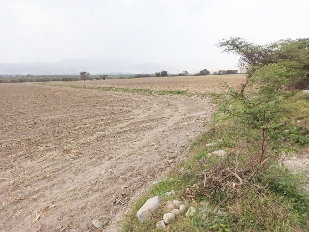 En venta terreno agrícola de 4.3 hectáreas en El Carmen