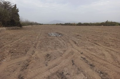 En venta terreno agrícola de 5 hectáreas y media en distrito El Carmen