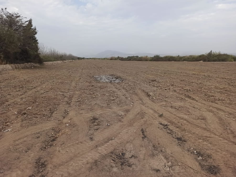 En venta terreno agrícola de 5 hectáreas y media en distrito El Carmen