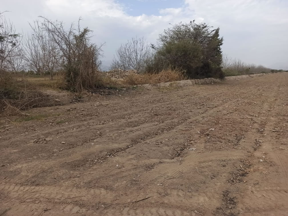 En venta terreno agrícola de 5 hectáreas y media en distrito El Carmen