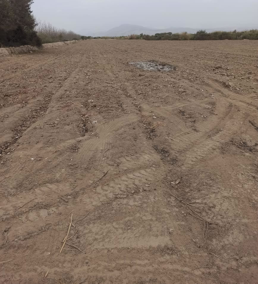 En venta terreno agrícola de 5 hectáreas y media en distrito El Carmen