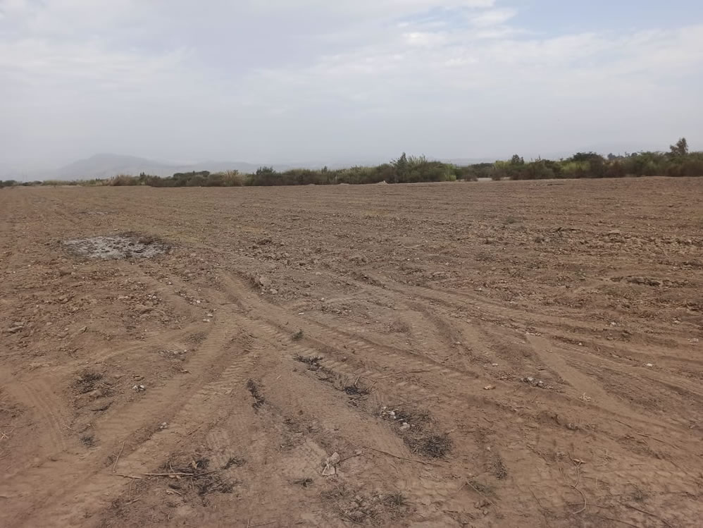 En venta terreno agrícola de 5 hectáreas y media en distrito El Carmen