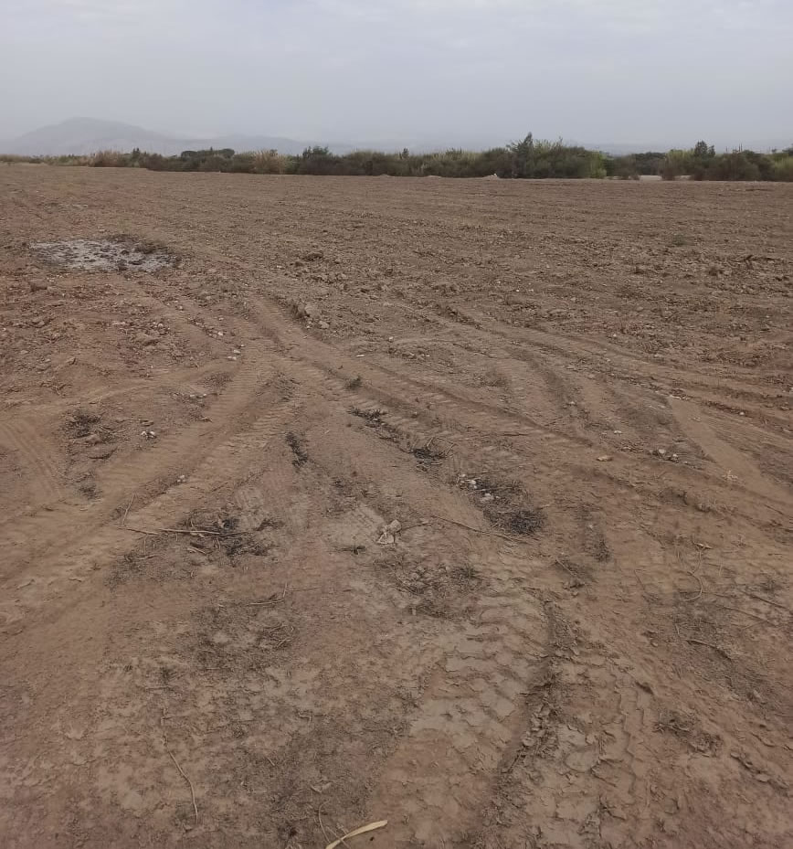 En venta terreno agrícola de 5 hectáreas y media en distrito El Carmen