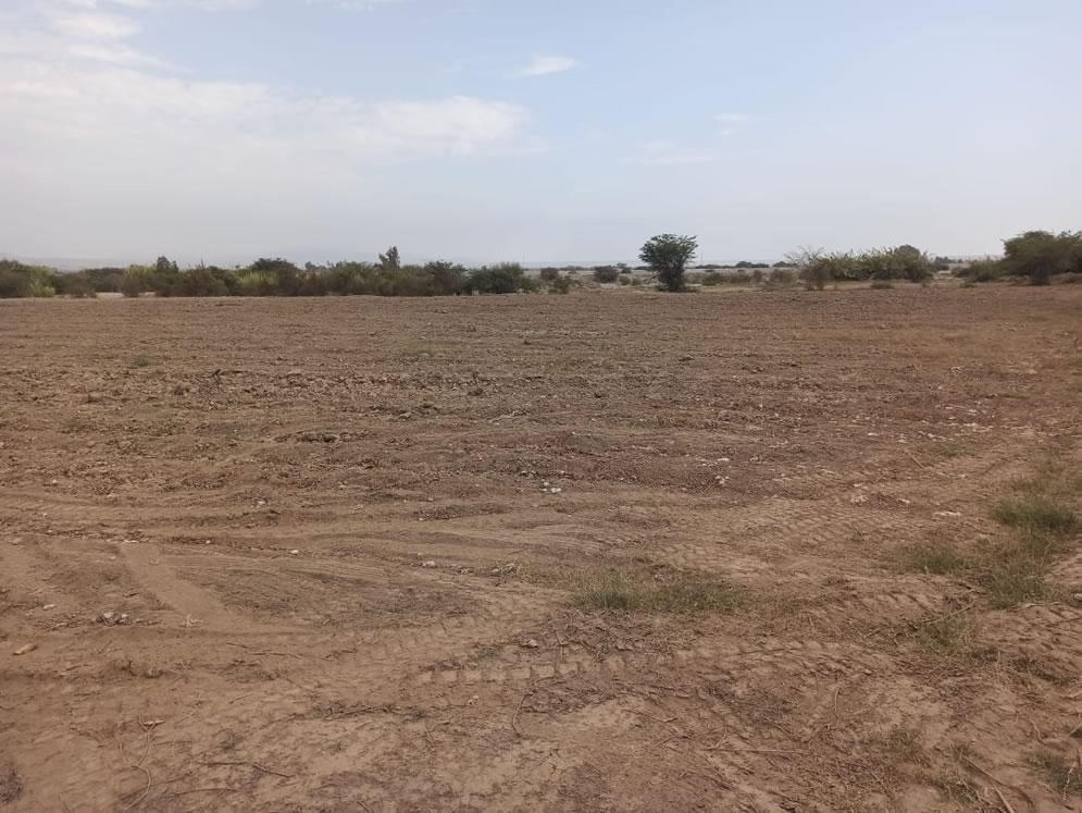 En venta terreno agrícola de 5 hectáreas y media en distrito El Carmen