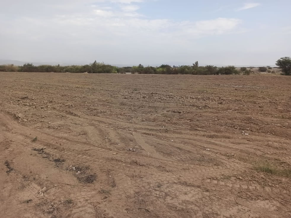 En venta terreno agrícola de 5 hectáreas y media en distrito El Carmen