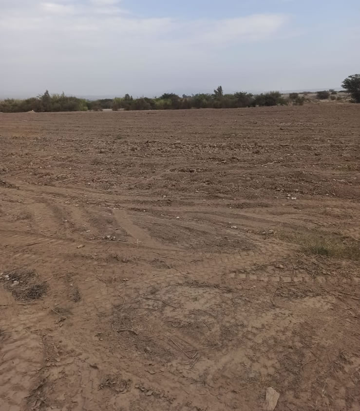 En venta terreno agrícola de 5 hectáreas y media en distrito El Carmen