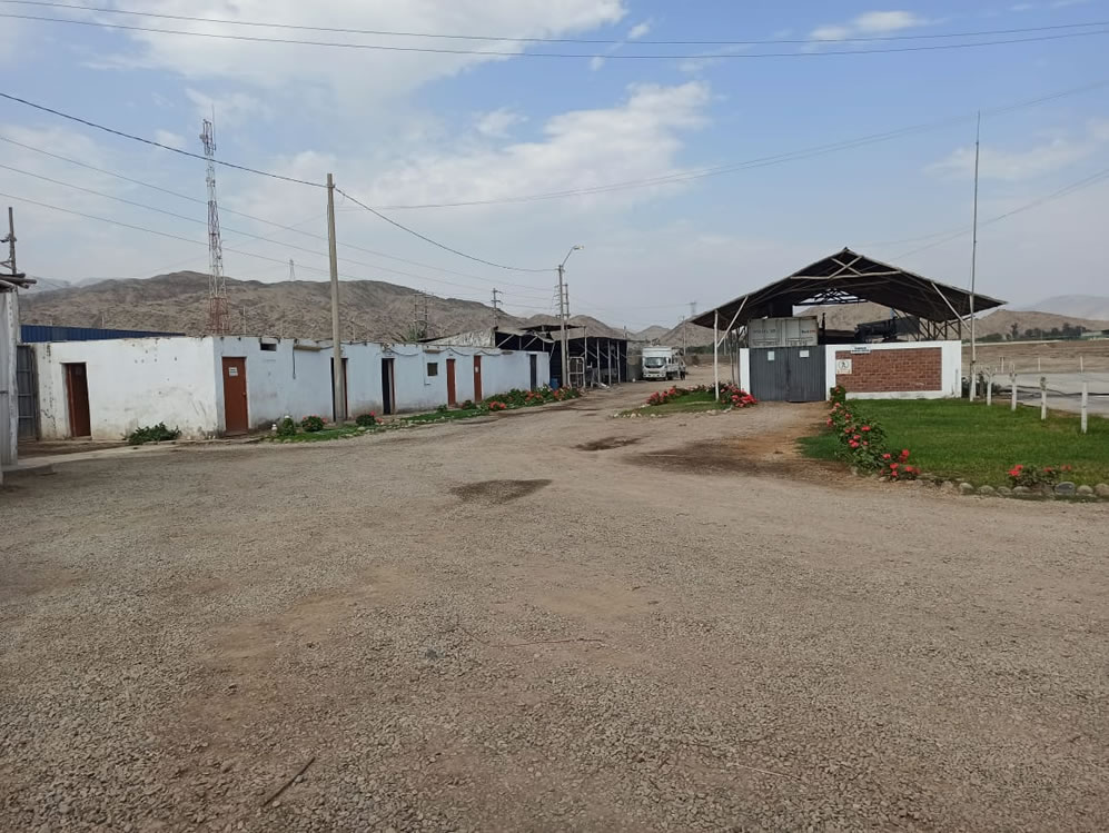 Se vende terreno agrícola de 50 hectáreas en el distrito Alto Larán