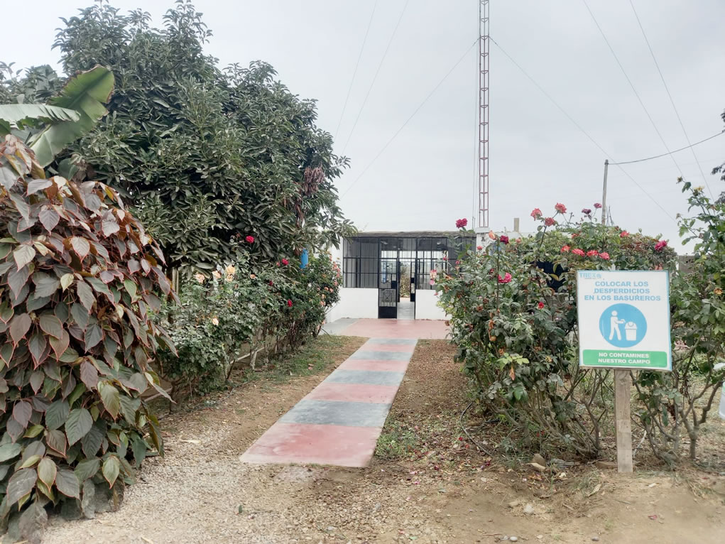 Se vende terreno de 78.4 hectáreas en El Carmen, Chincha, Ica.